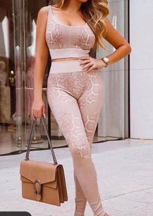 Nude Snake Print Active Set